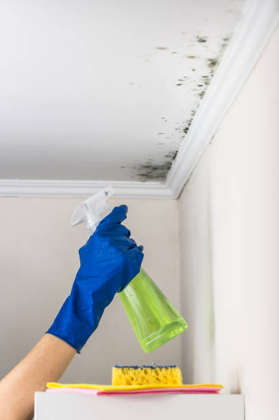 York, NE Mold Remediation Company